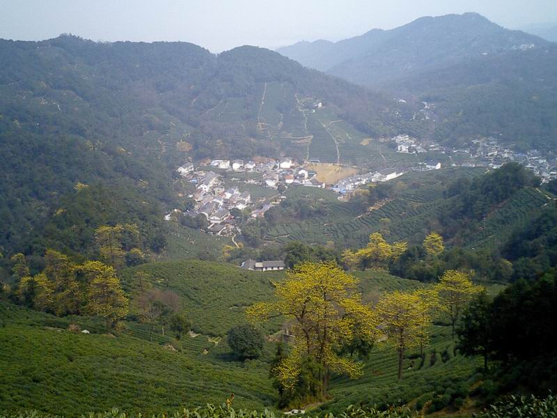 啤酒和海鲜_炸鸡和啤酒卡通图片_喜力啤酒