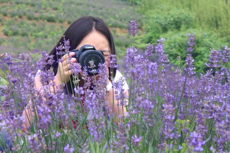 6.3熏衣草【游侠小颖 带你一起寻找真爱】哇吼