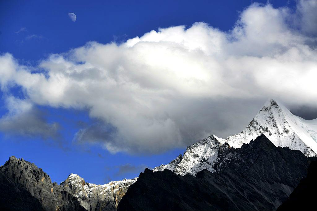 你见或不见,它就在那里,独自美丽,不悲不喜;你念