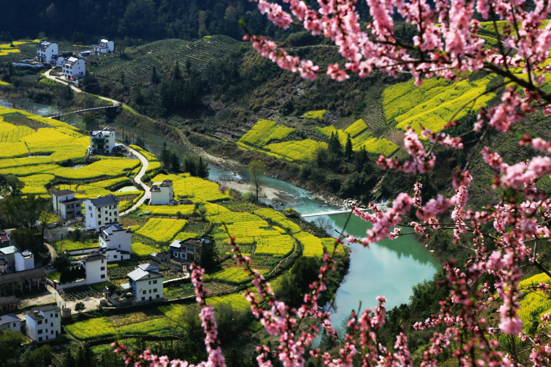 春天花事61石潭花海环线34月经典小众线安徽石潭昌源河深山古村花海