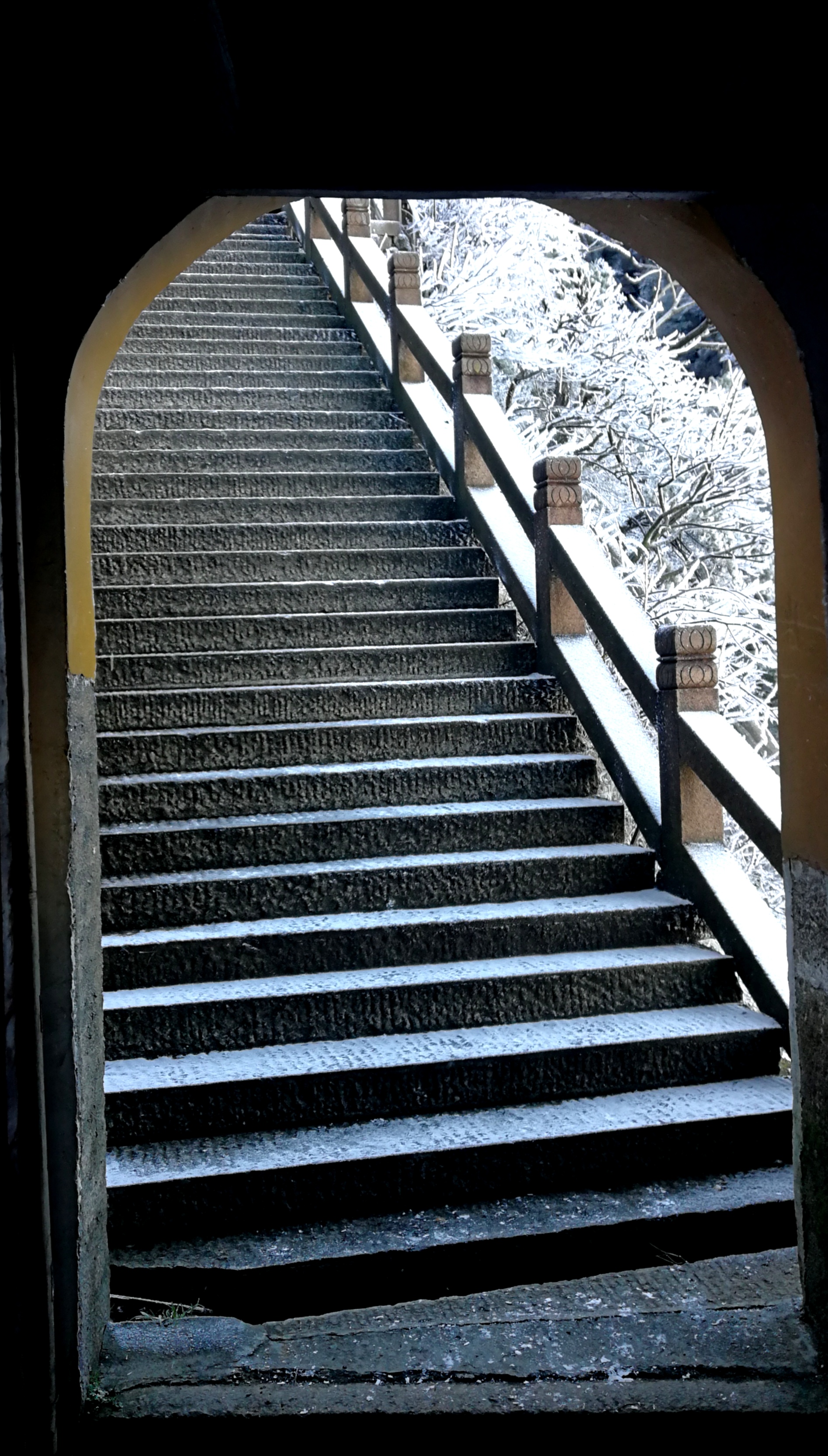 游侠客旅行