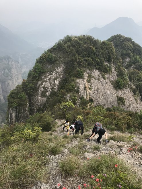 游侠客旅行