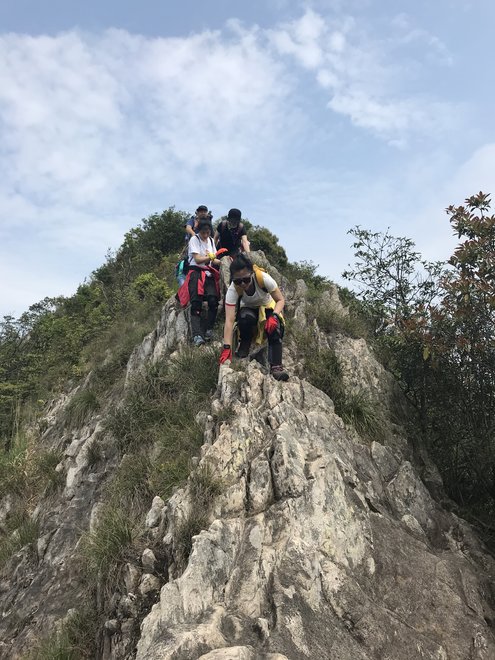 游侠客旅行