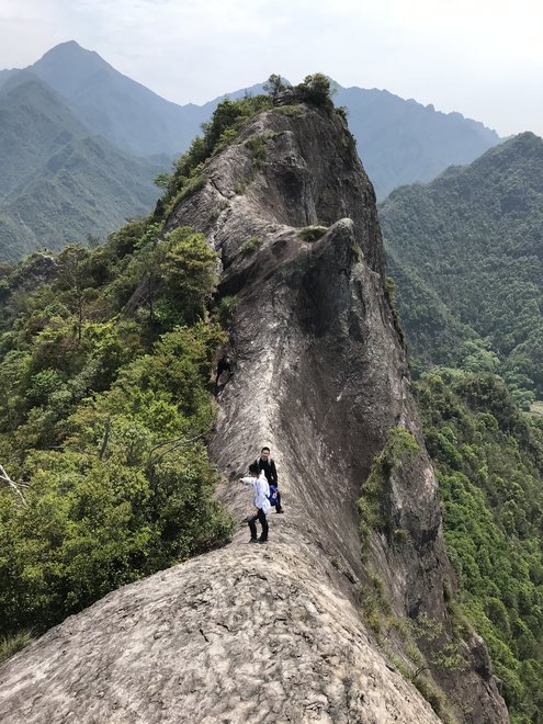游侠客旅行