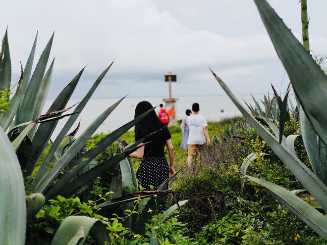 游侠客旅行