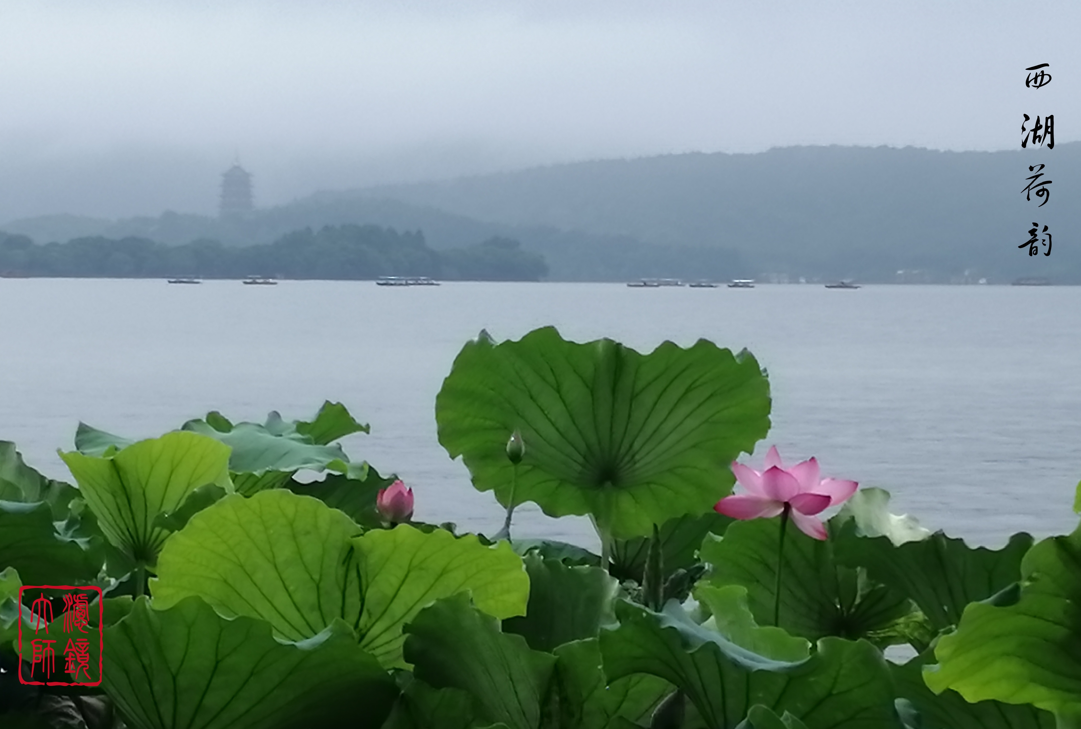 游侠客旅行