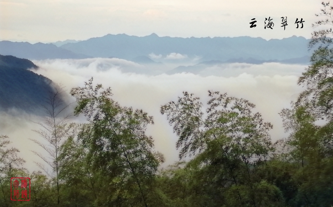 游侠客旅行