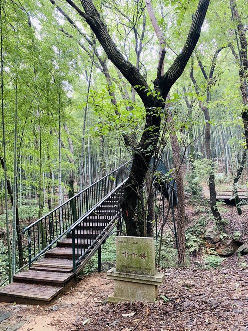 游侠客旅行