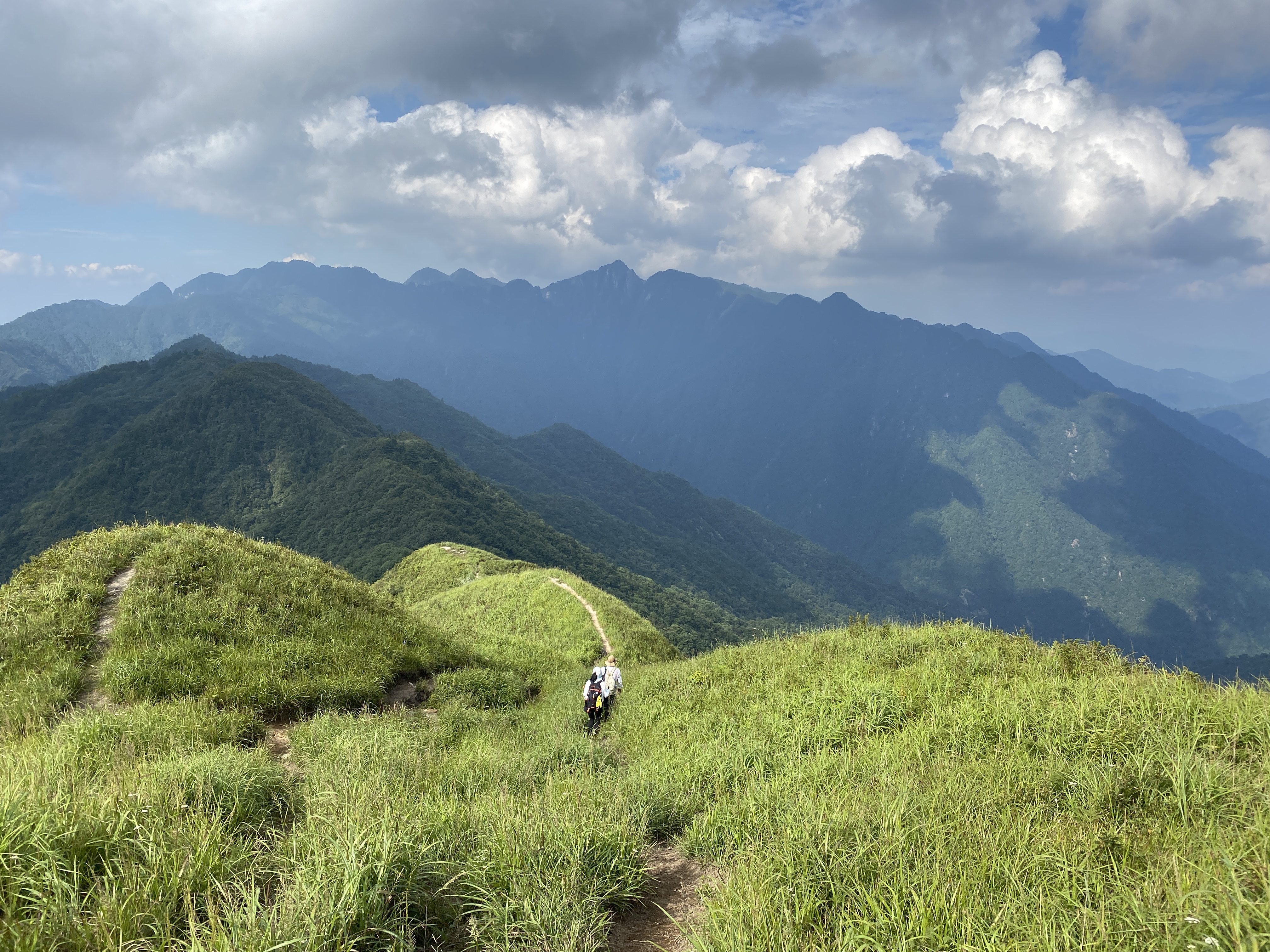 游侠客旅行
