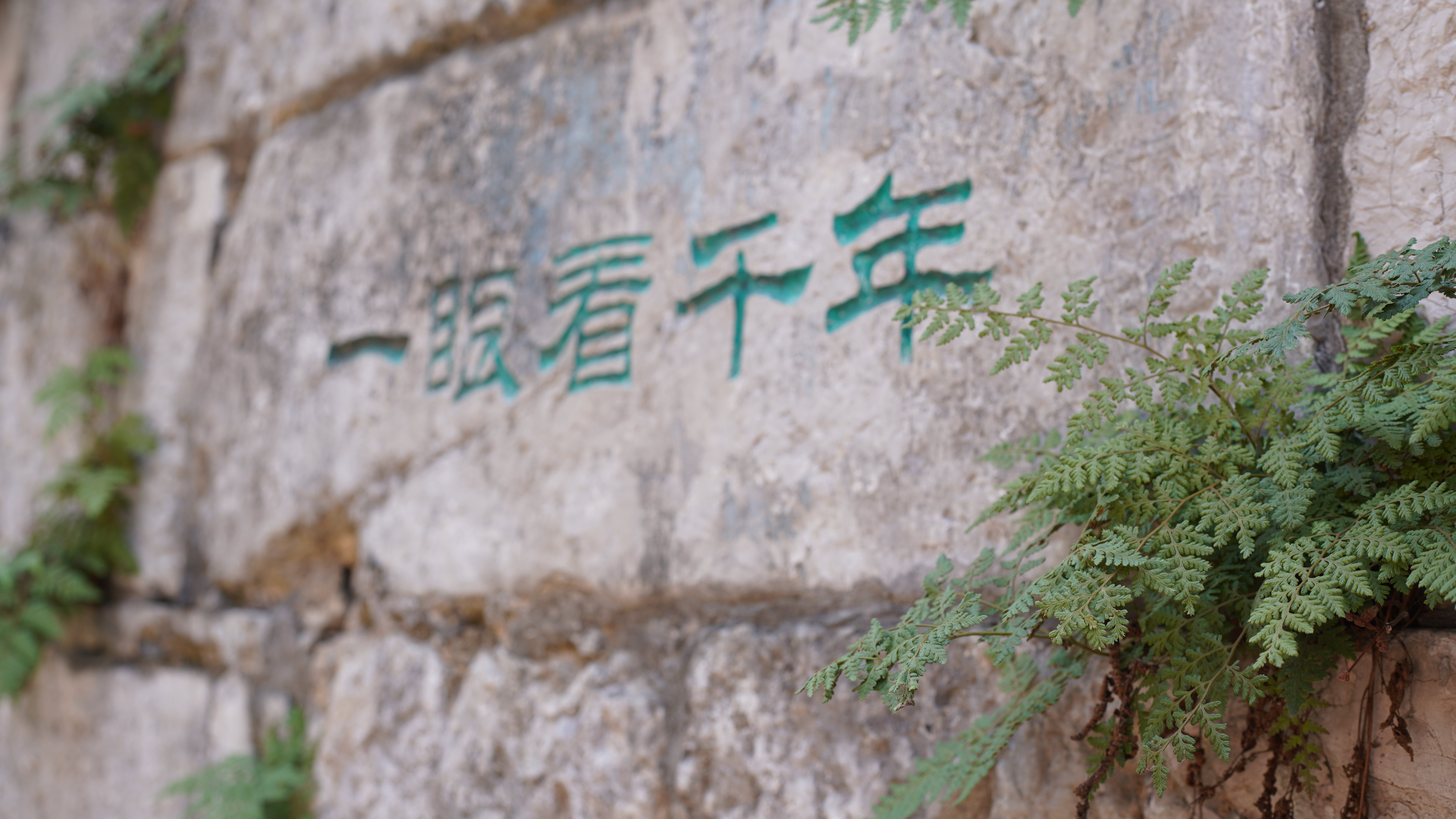 游侠客旅行