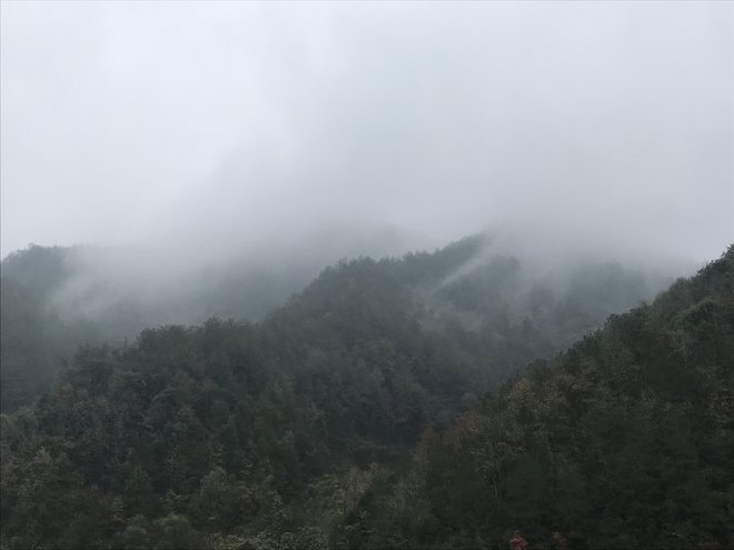 游侠客旅行