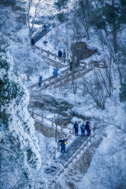 游侠客旅行