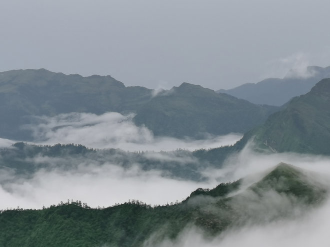 游侠客旅行