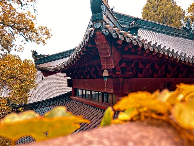 游侠客旅行