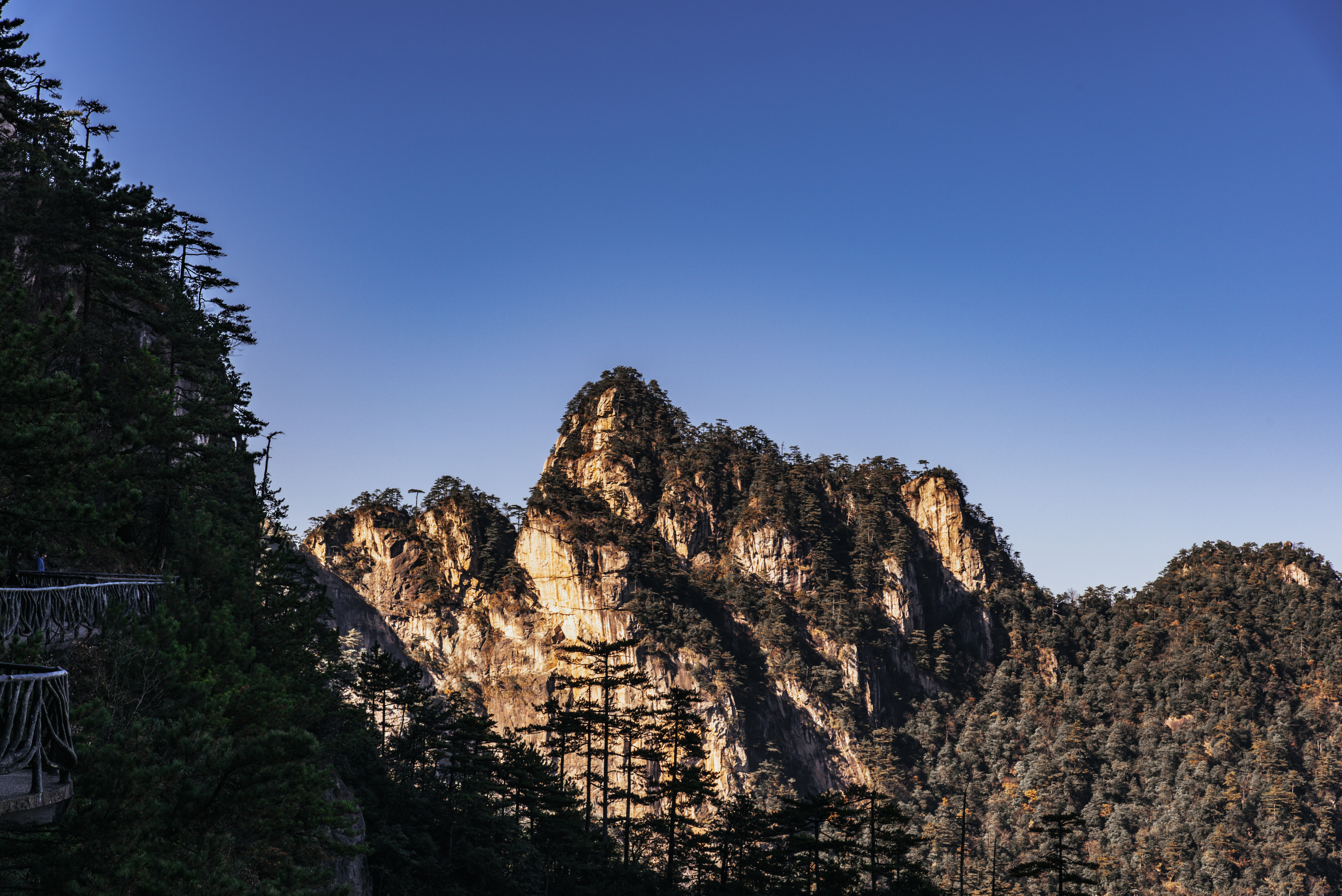 游侠客旅行