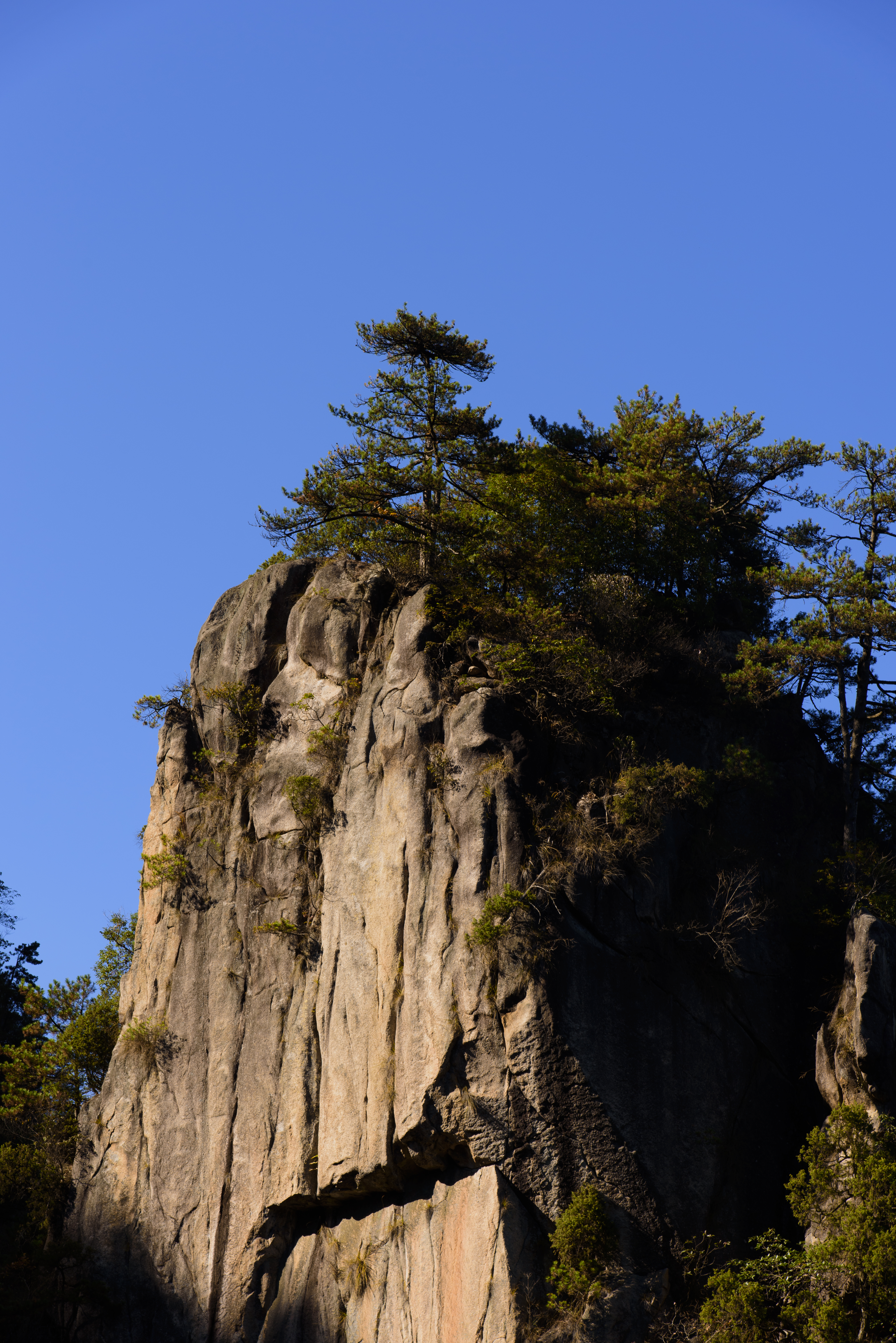 游侠客旅行