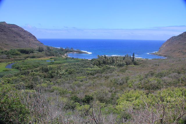 夏威夷 莫洛凯岛的假期