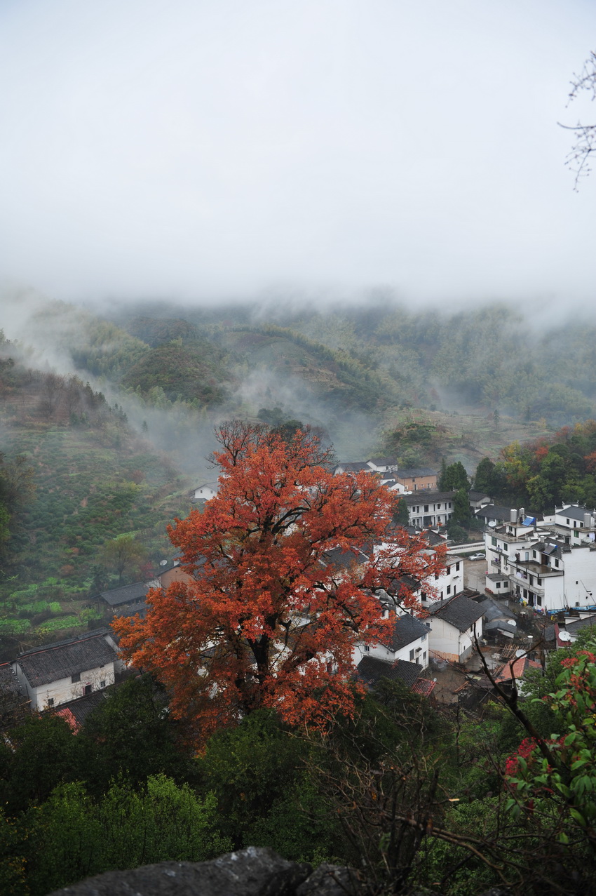 婺源石城秋色,江西旅游攻略-游侠客社区